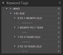 Keyword List with Category Words displayed in Lightroom