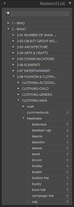 Lightroom Keyword List open at the What - Fashion and Clothing - Clothing Man - Headwear category