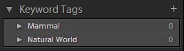 Lightroom Keyword List shown collapsed