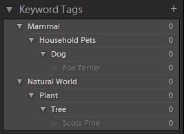 A simple Keyword List displayed in Lightroom