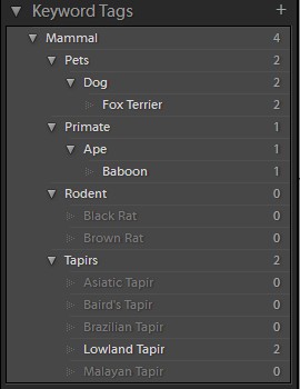 lightroom_reimport_keyword_list_4 (18K)