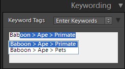 lightroom_reimport_keyword_list_7 (10K)
